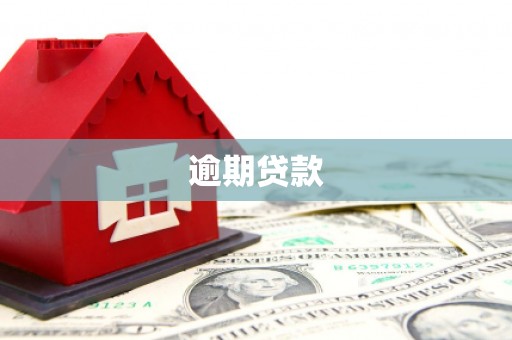 宝兴逾期贷款