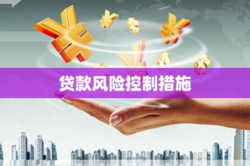 宝兴贷款风险控制措施