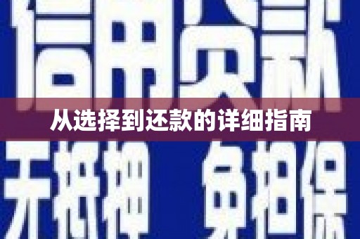 宝兴从选择到还款的详细指南