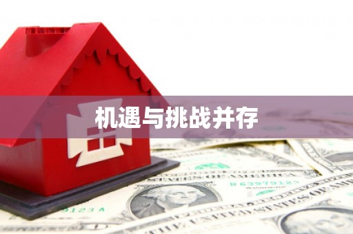 宝兴机遇与挑战并存