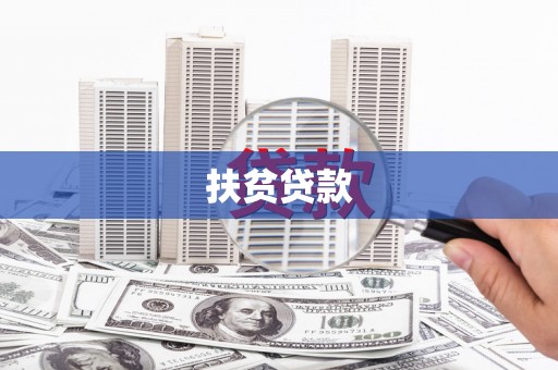 宝兴扶贫贷款