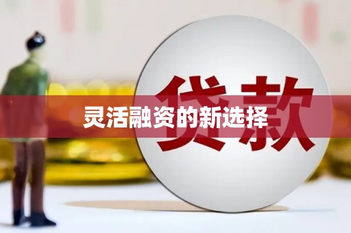 宝兴灵活融资的新选择