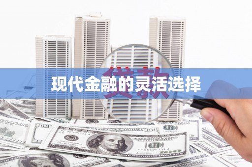 宝兴现代金融的灵活选择