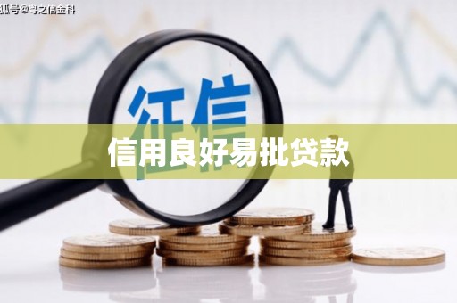 宝兴信用良好易批贷款