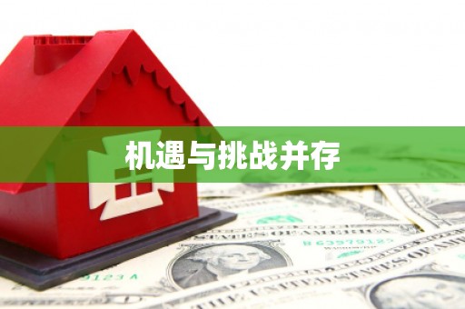 宝兴机遇与挑战并存