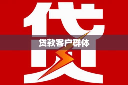 宝兴贷款客户群体