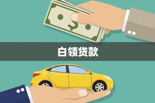 宝兴白领贷款