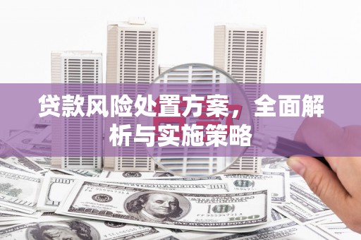 宝兴贷款风险处置方案，全面解析与实施策略