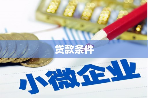宝兴贷款条件