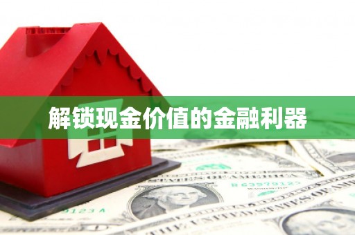 宝兴解锁现金价值的金融利器