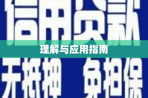 宝兴理解与应用指南