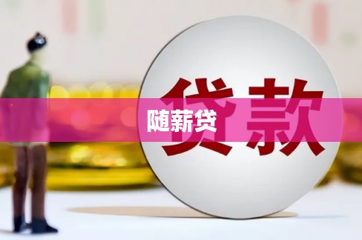 宝兴随薪贷
