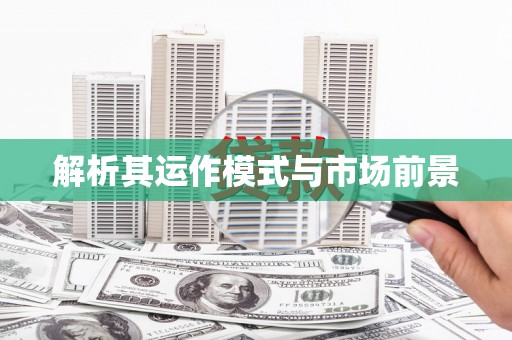 宝兴解析其运作模式与市场前景