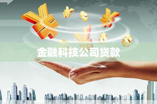 宝兴金融科技公司贷款