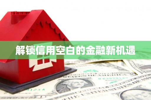 宝兴解锁信用空白的金融新机遇