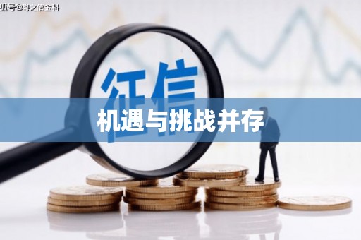 宝兴机遇与挑战并存