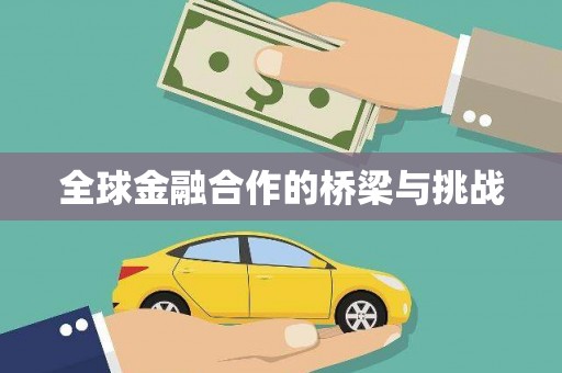 宝兴全球金融合作的桥梁与挑战