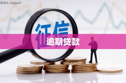宝兴逾期贷款
