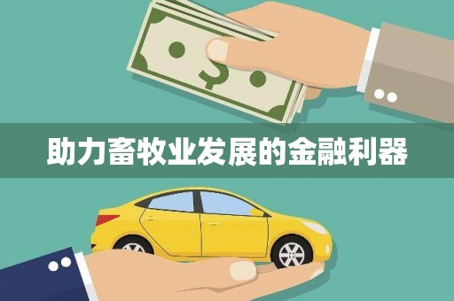 宝兴助力畜牧业发展的金融利器