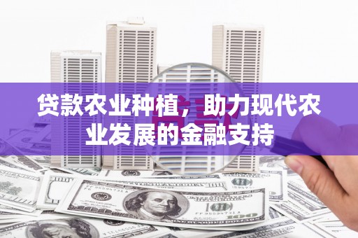 宝兴贷款农业种植，助力现代农业发展的金融支持