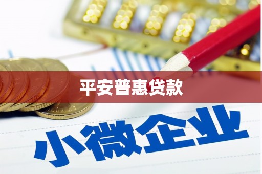 宝兴平安普惠贷款