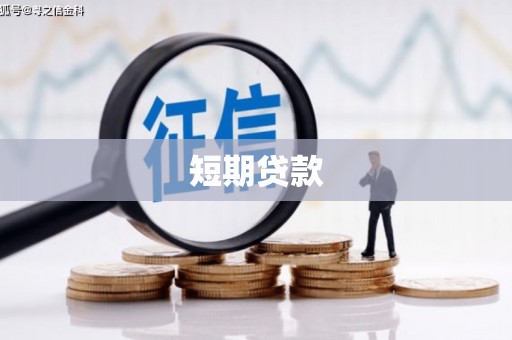 宝兴短期贷款