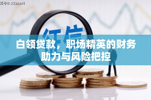 宝兴白领贷款，职场精英的财务助力与风险把控