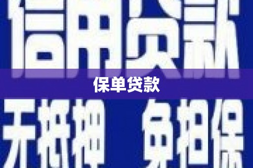 宝兴保单贷款